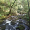 cmmiddlebrook